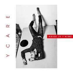 Cover of Adieu je t'aime