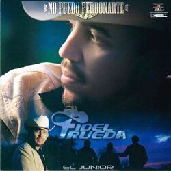 Cover of No Puedo Perdonarte