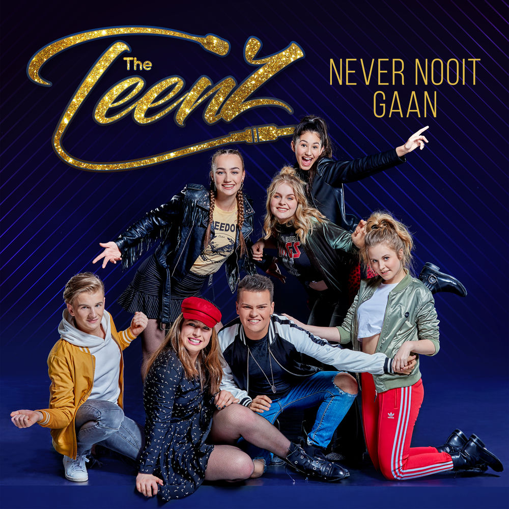 Albumhoes van NEVER NOOIT GAAN — THE TEENZ