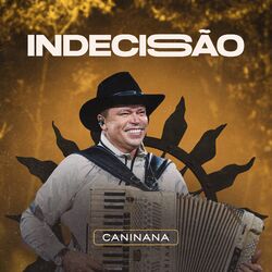 Cover of Indecisão