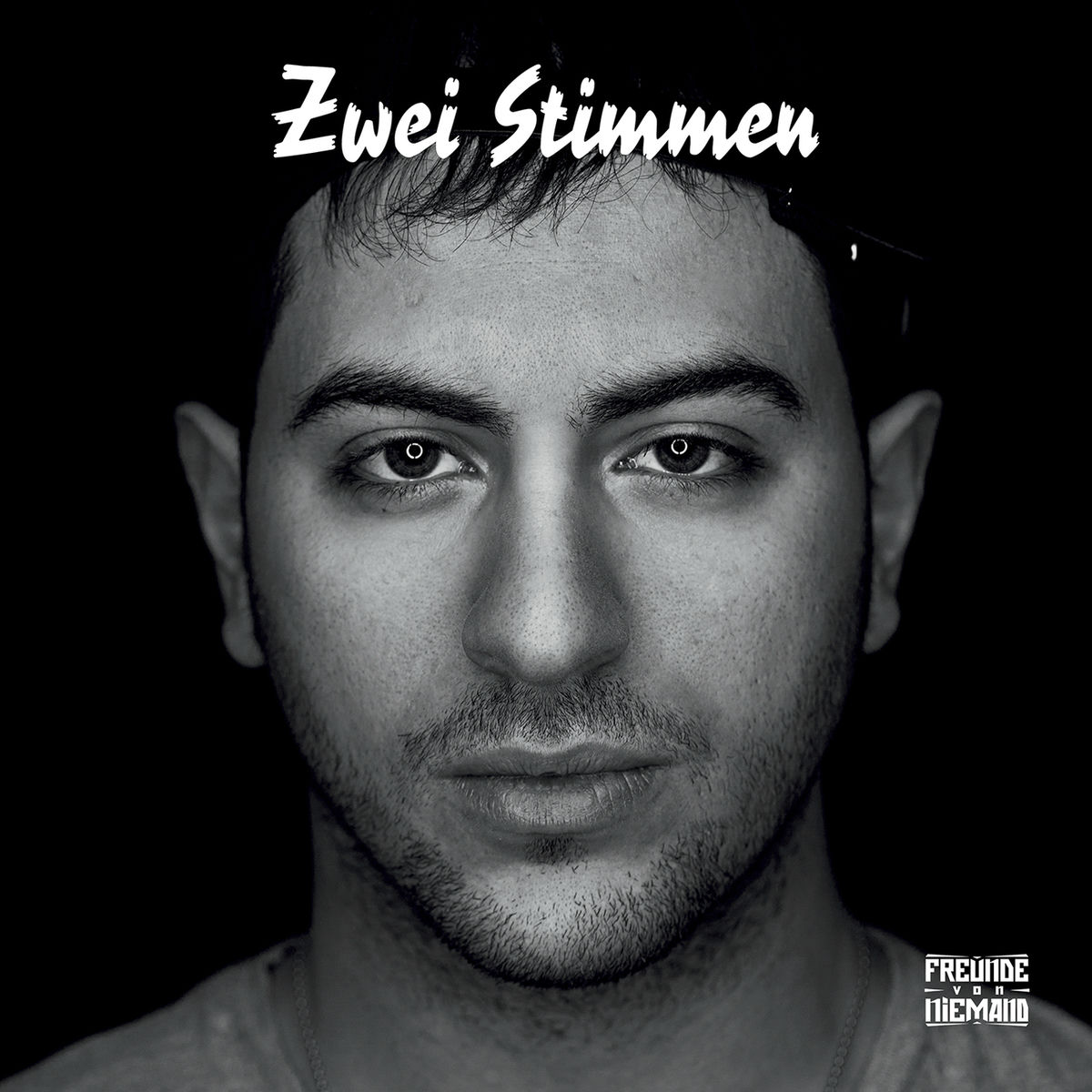 Album cover of Zwei Stimmen