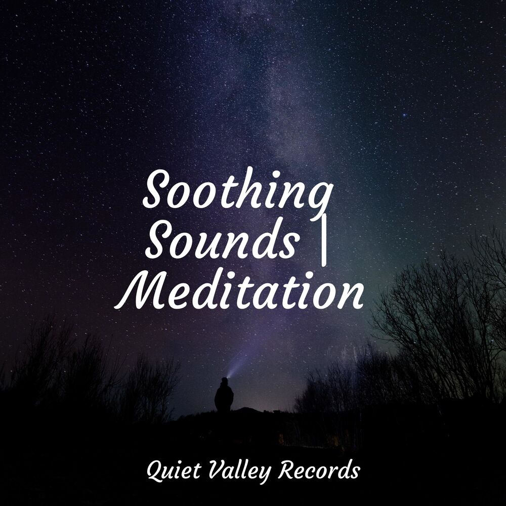 Picture of Soothing Sounds | Meditation