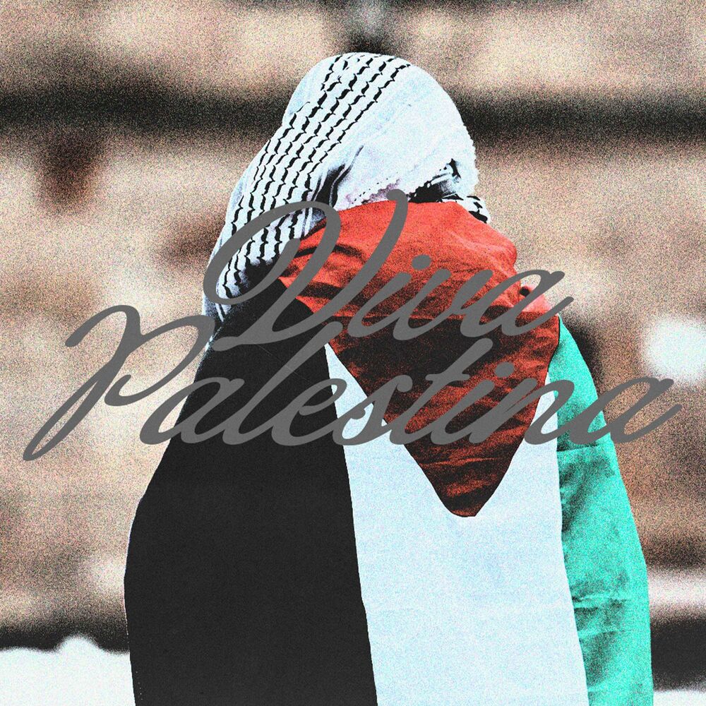 Picture of Viva Palestina