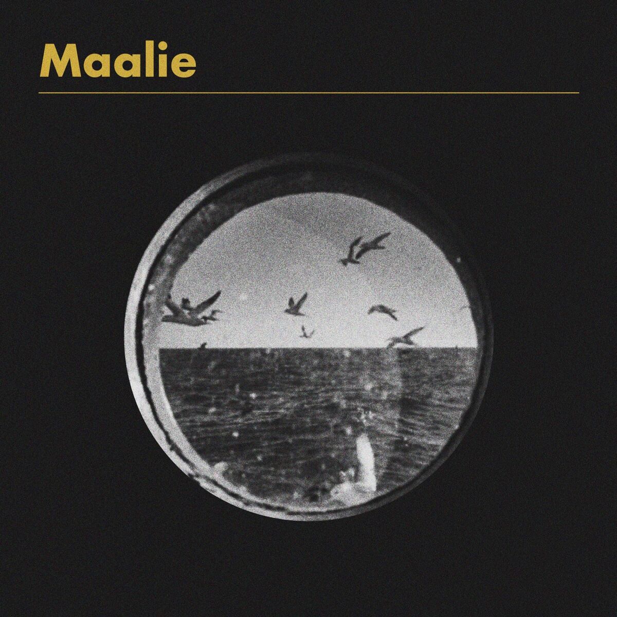 Album cover of Maalie over Marwick Head