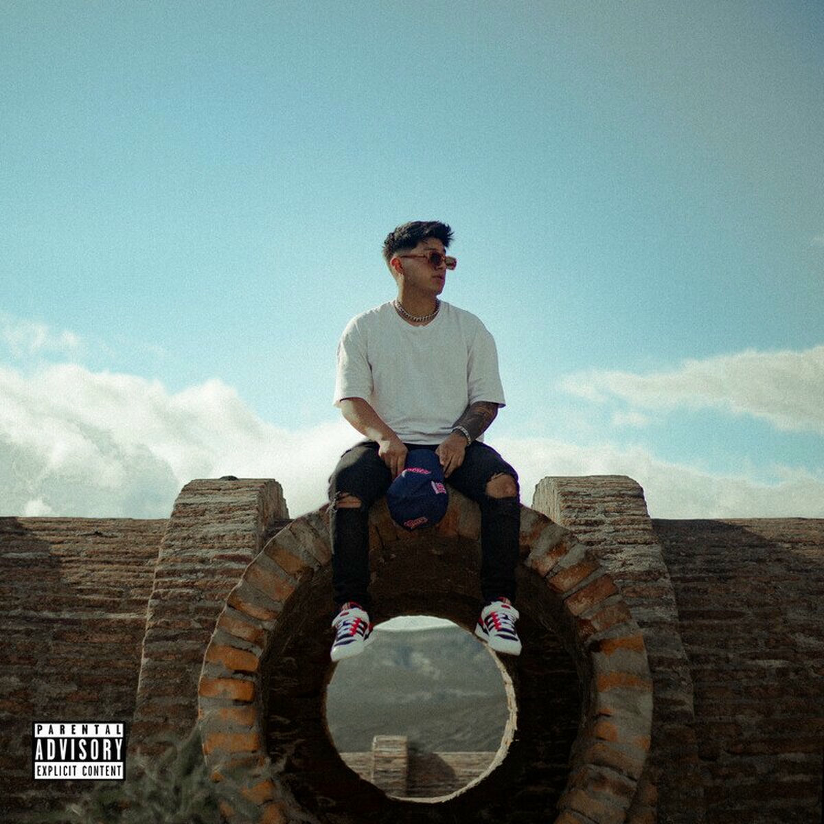 Album cover of Sin Bajarle
