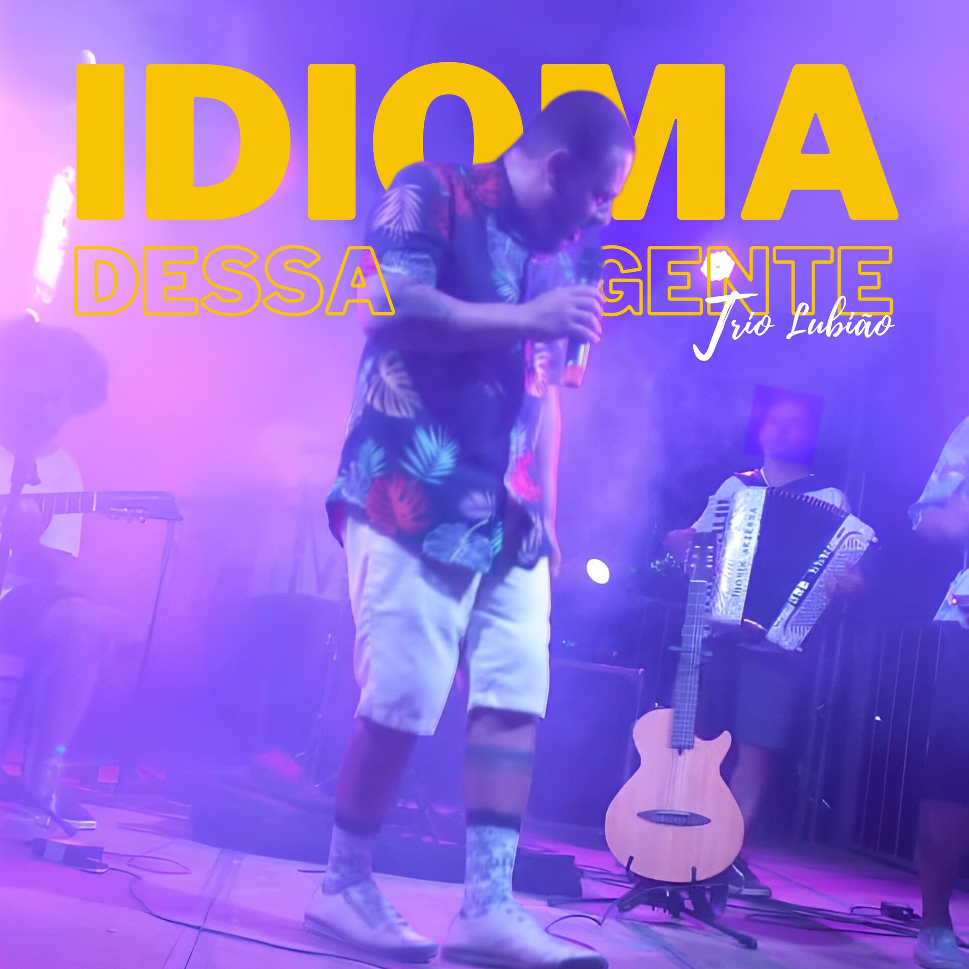 Album cover of Idioma Dessa Gente