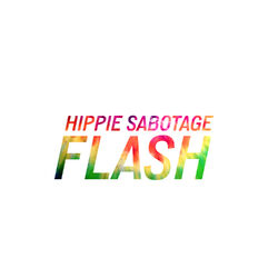 Cover of Flash