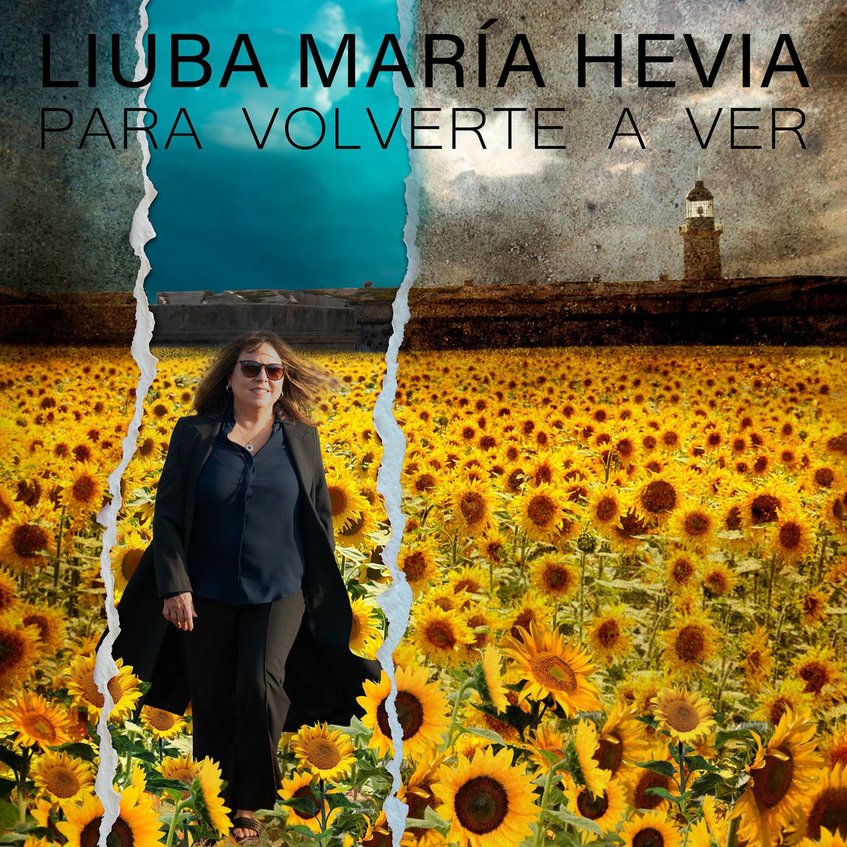 Album cover of Para Volverte a Ver