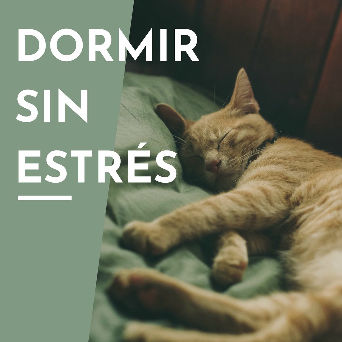 Album cover of Dormir Sin Estrés: Música Relajante para Calmar la Mente y Dejar de Pensar