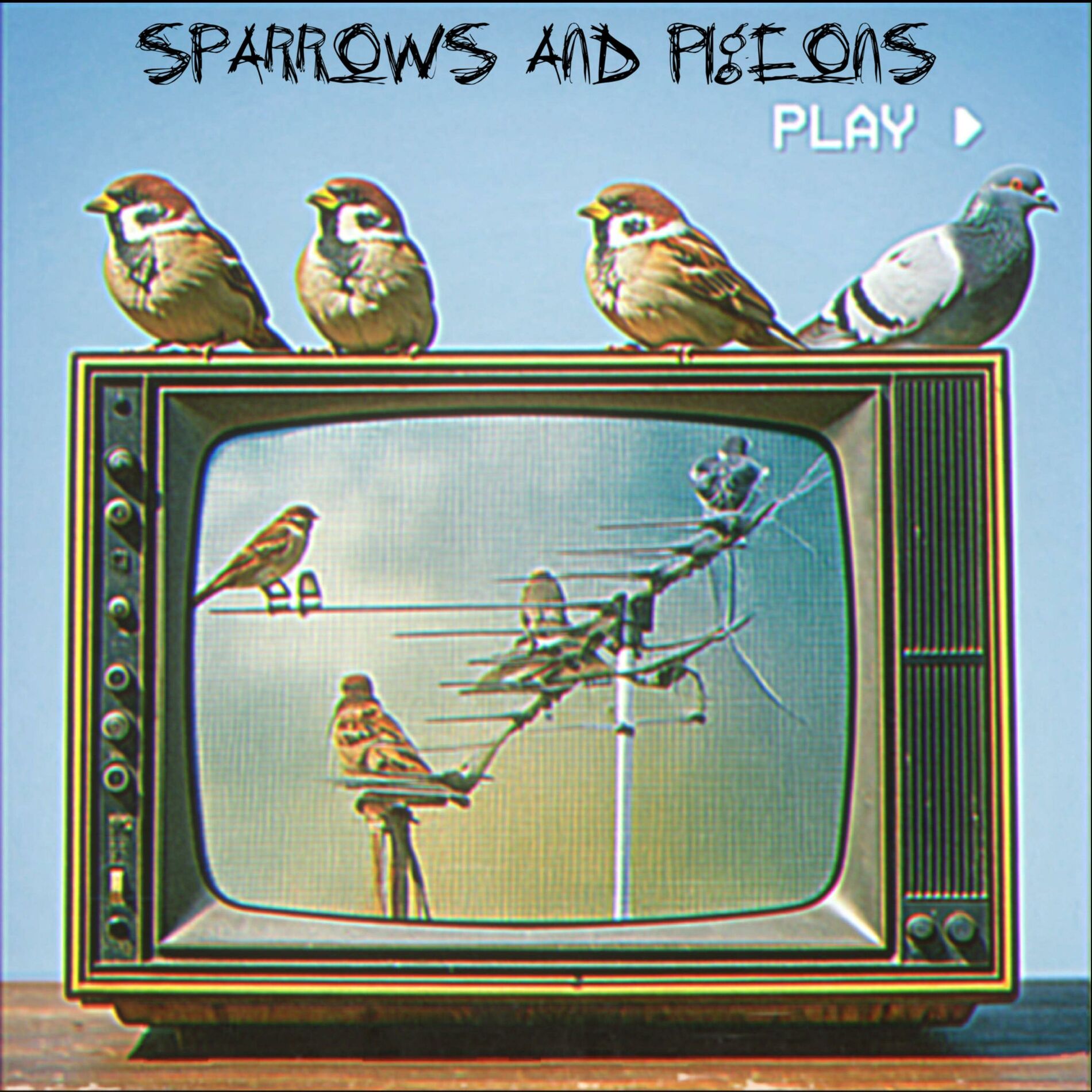 Album cover of SPARROWS AND PIGEONS