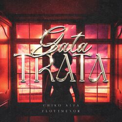Cover of Gata Trata