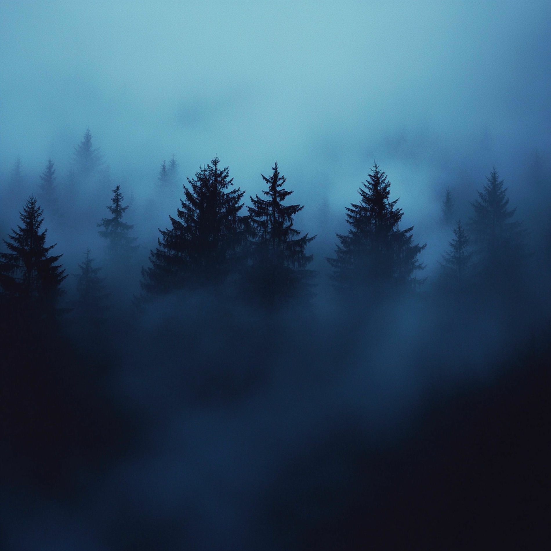 Album cover of there's nothing left