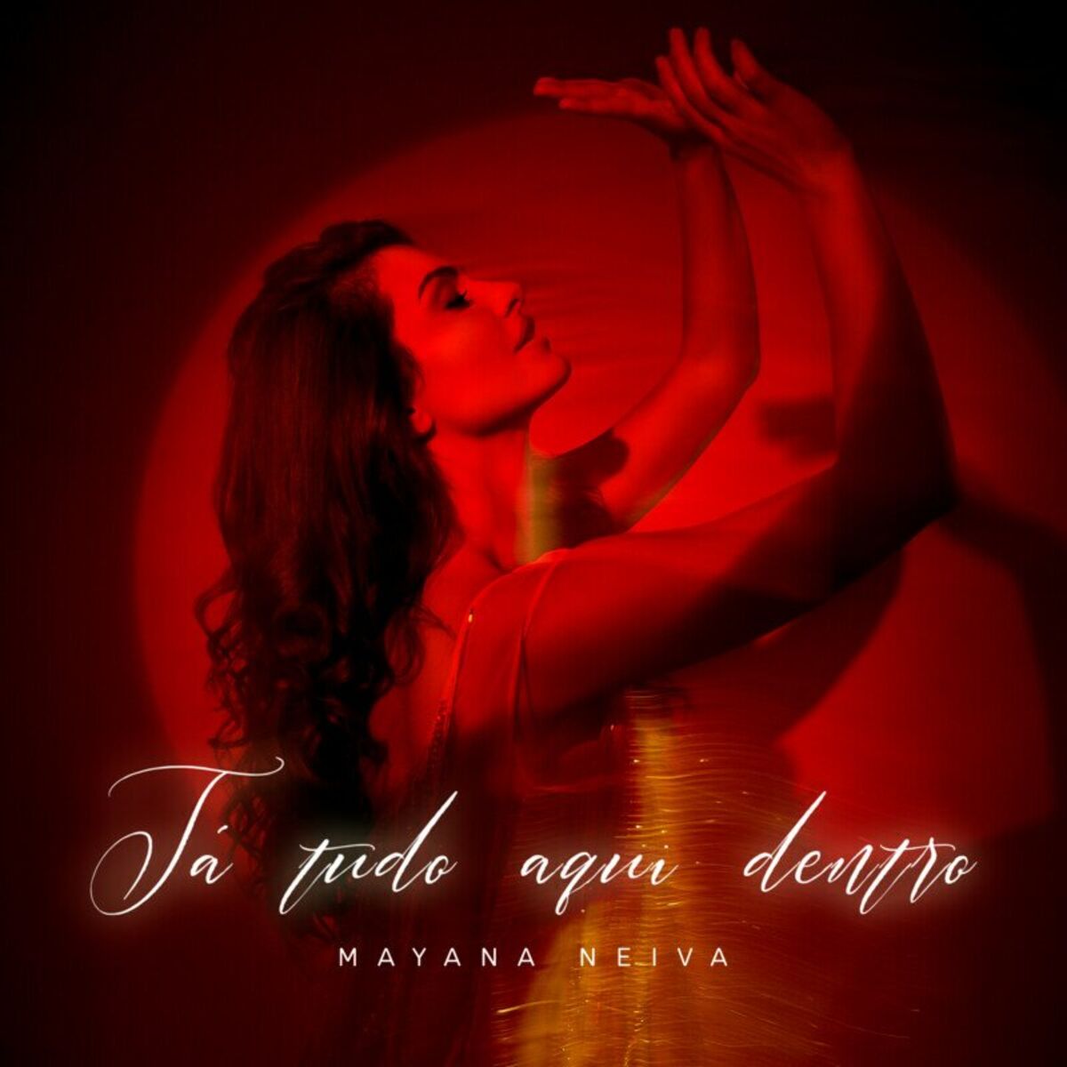Album cover of Tá tudo aqui dentro