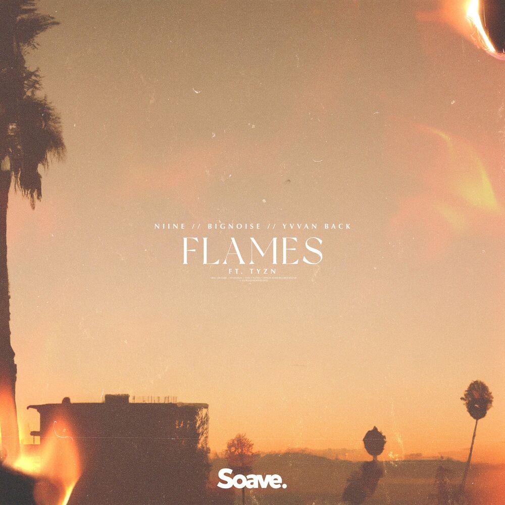 Picture of Flames