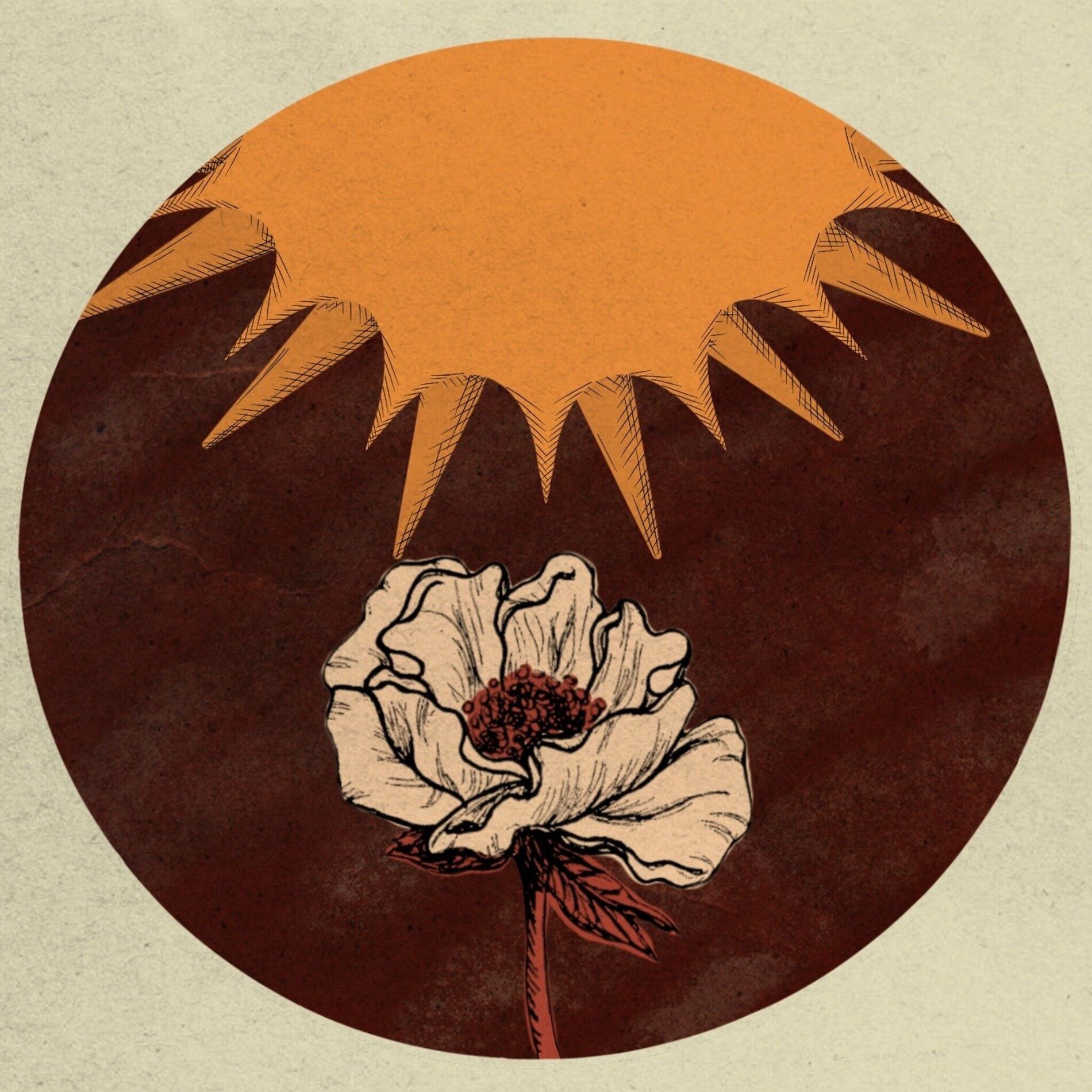 Album cover of Rise Up