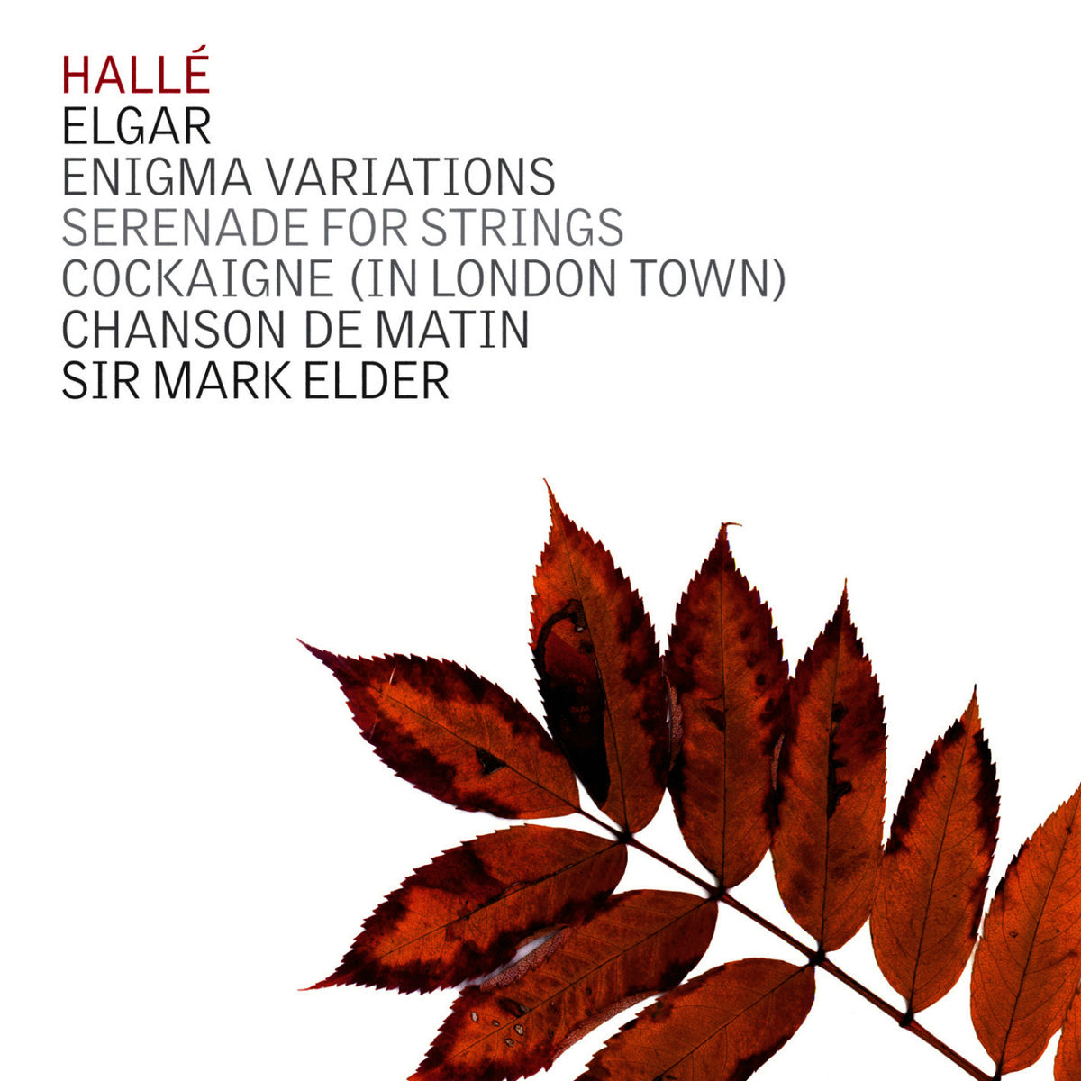 Album cover of Elgar: Enigma Variations