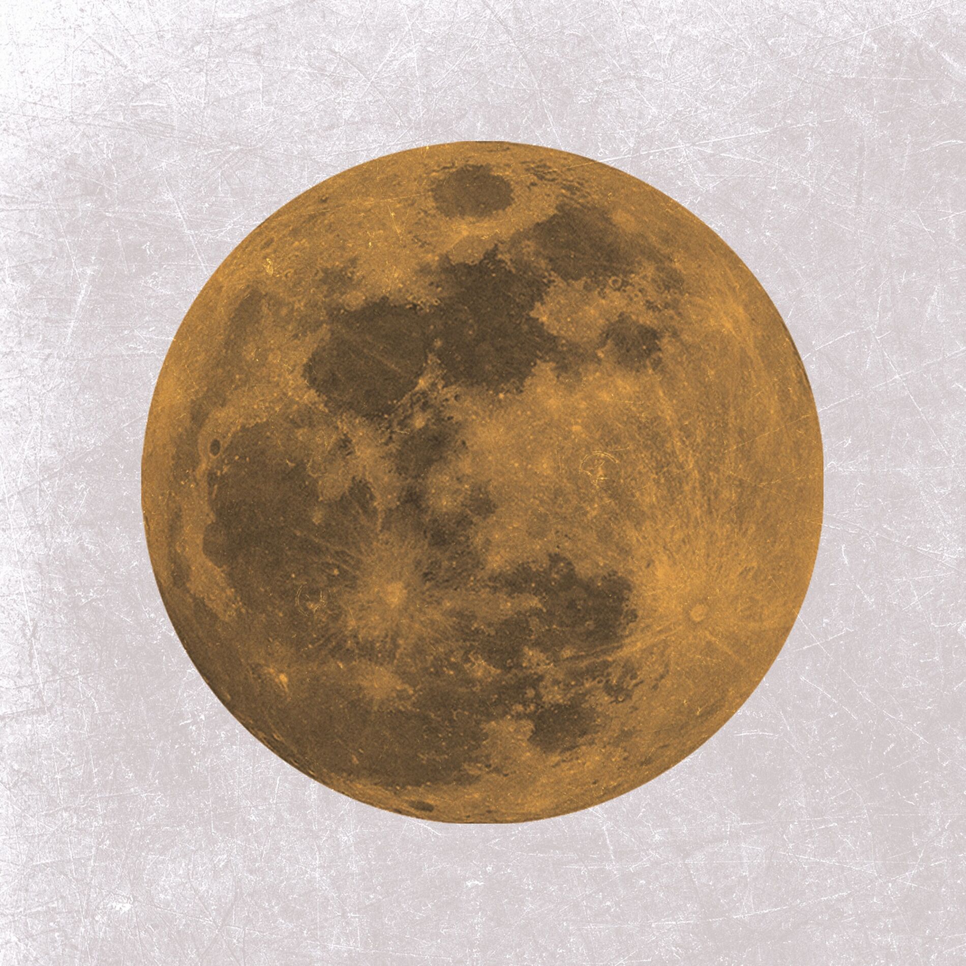 Album cover of Summer Night