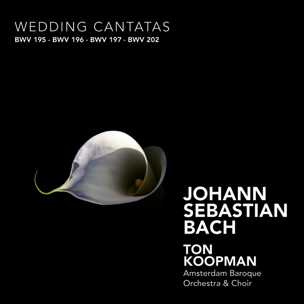 Picture of Bach: Wedding Cantatas