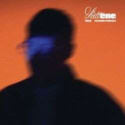 Cover of Vattene