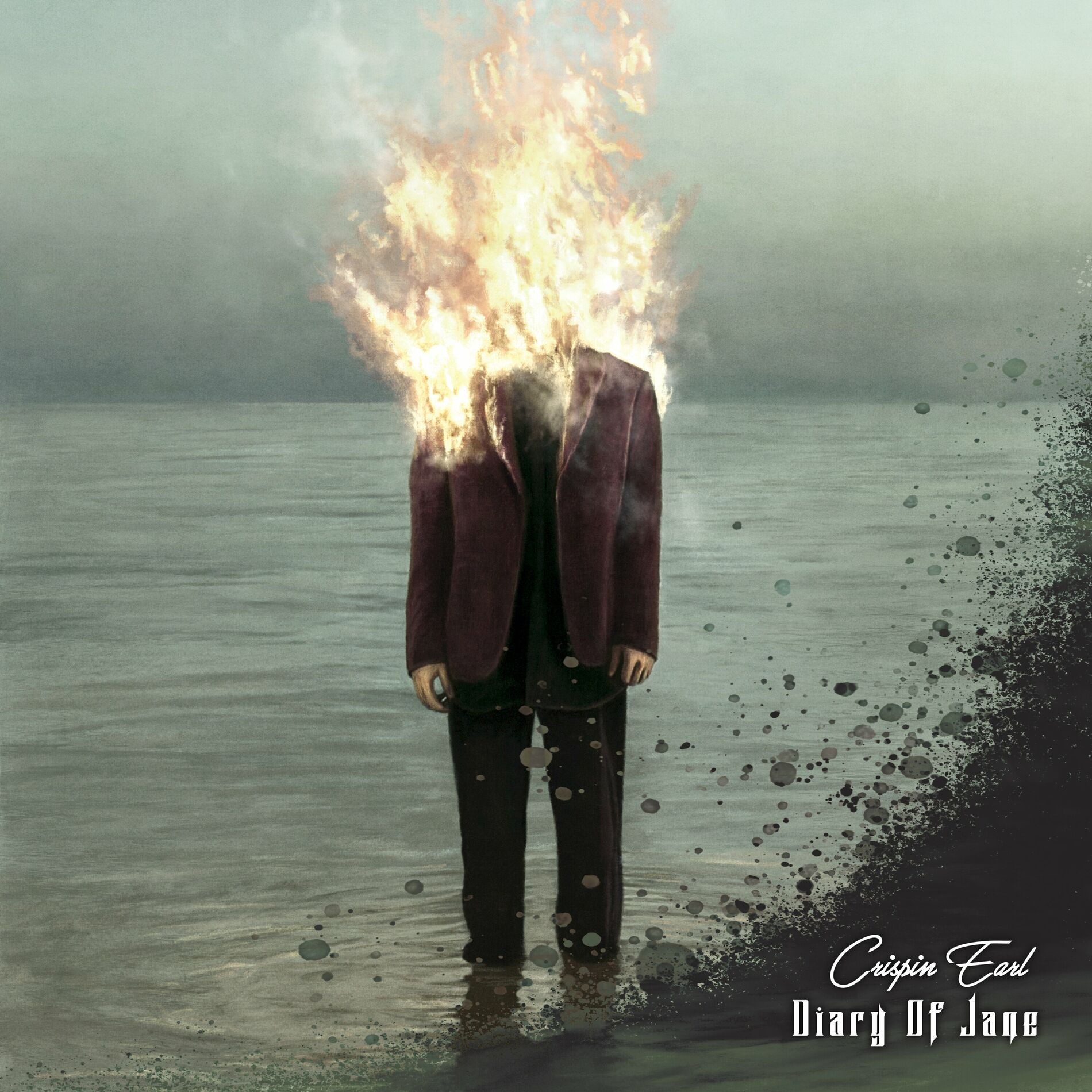 Album cover of Diary Of Jane