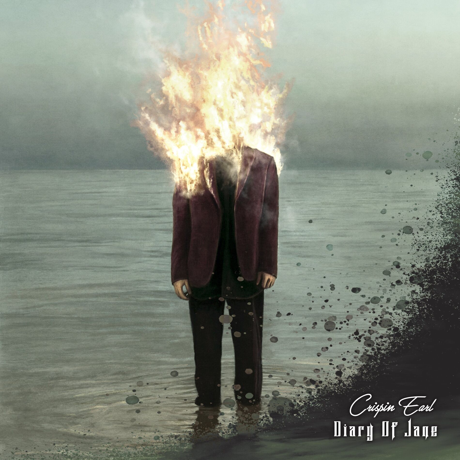 Album cover of Diary Of Jane
