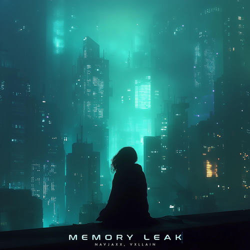 Memory Leak