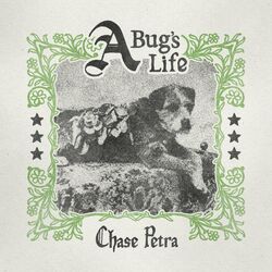 Cover of A Bug's Life