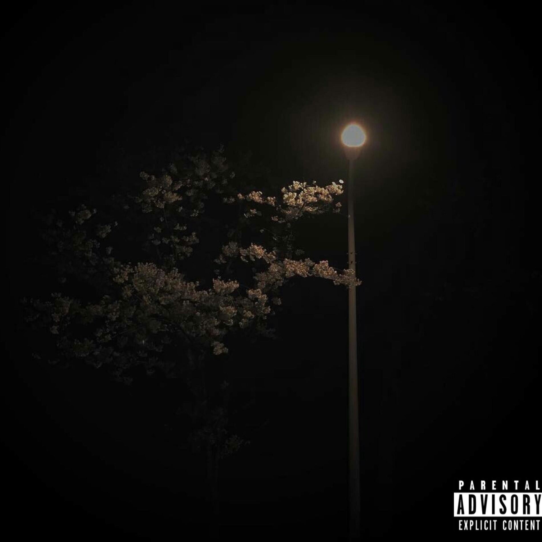 Album cover of Late Nights EP