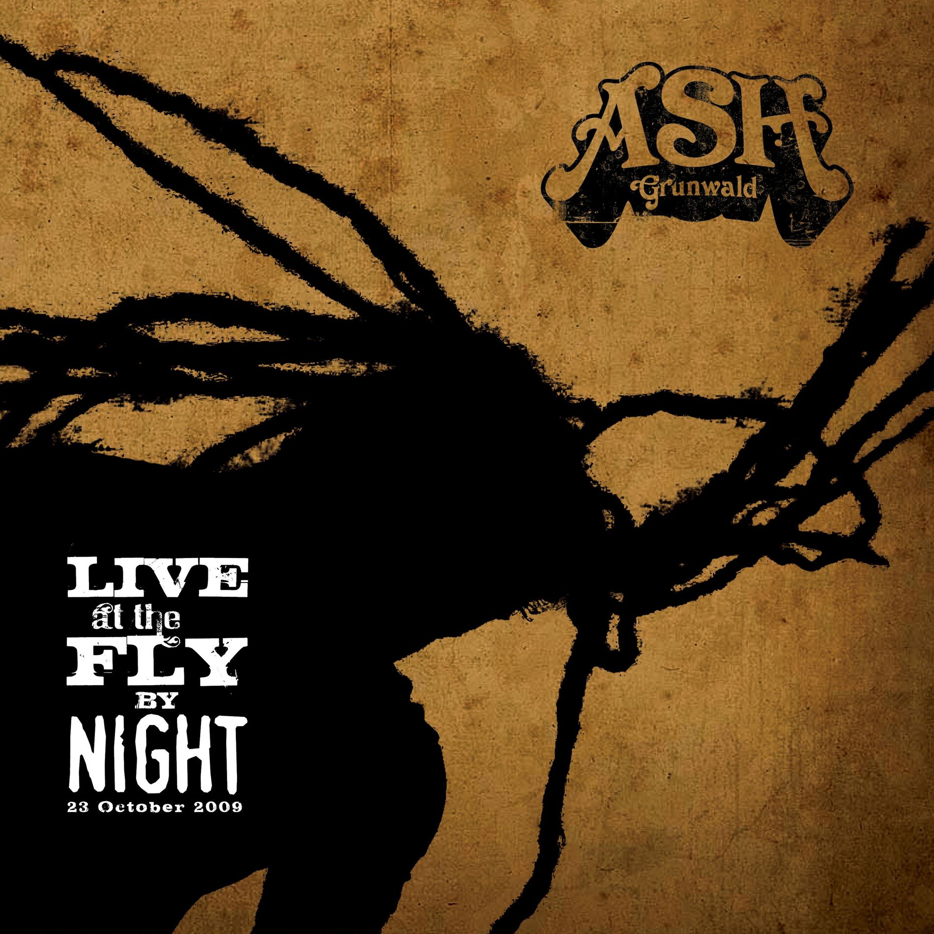 Album cover of Live At The Fly By Night