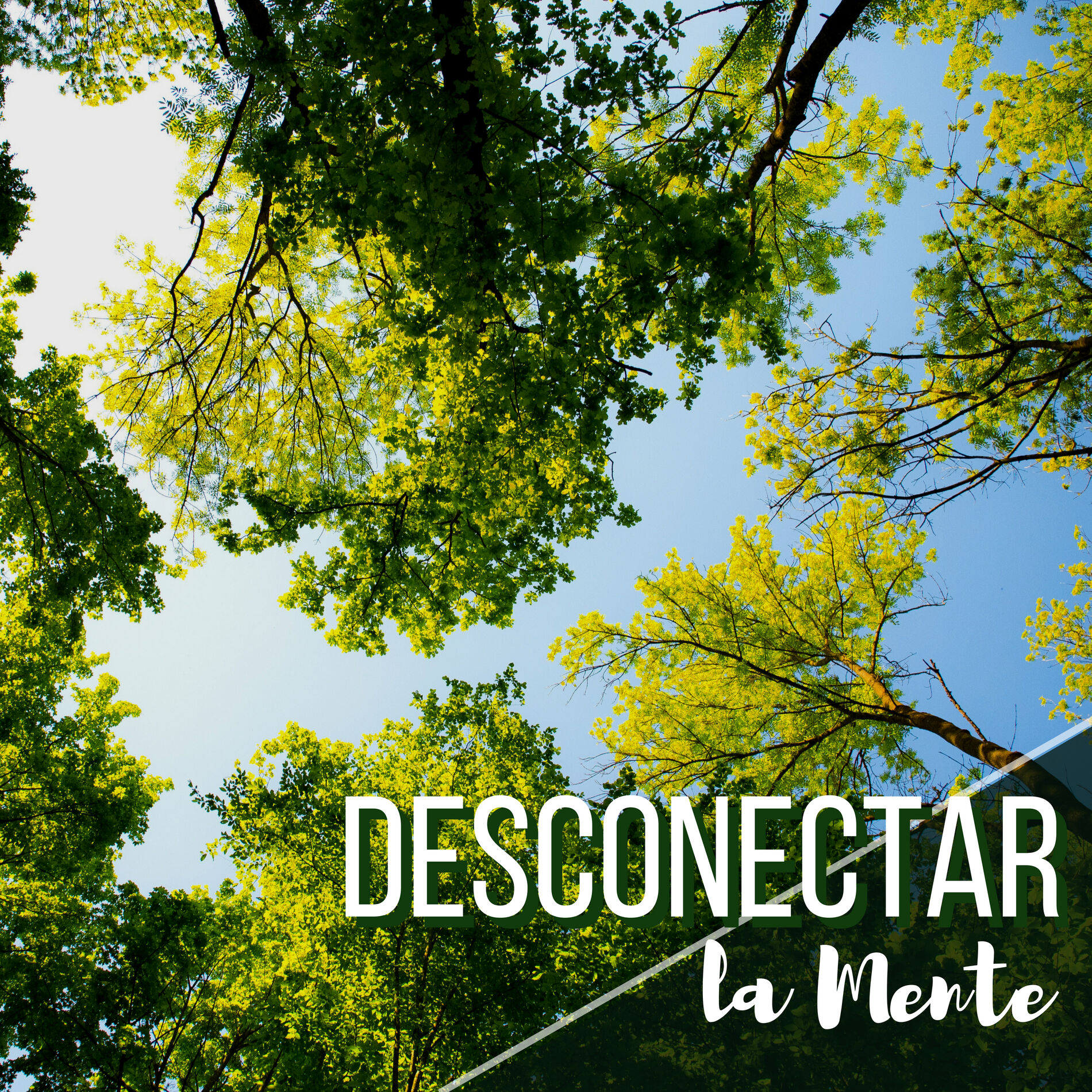 Album cover of Desconectar la Mente - Música de Ambiente Calmante que Ayuda a Dejar de Pensar y Meditar
