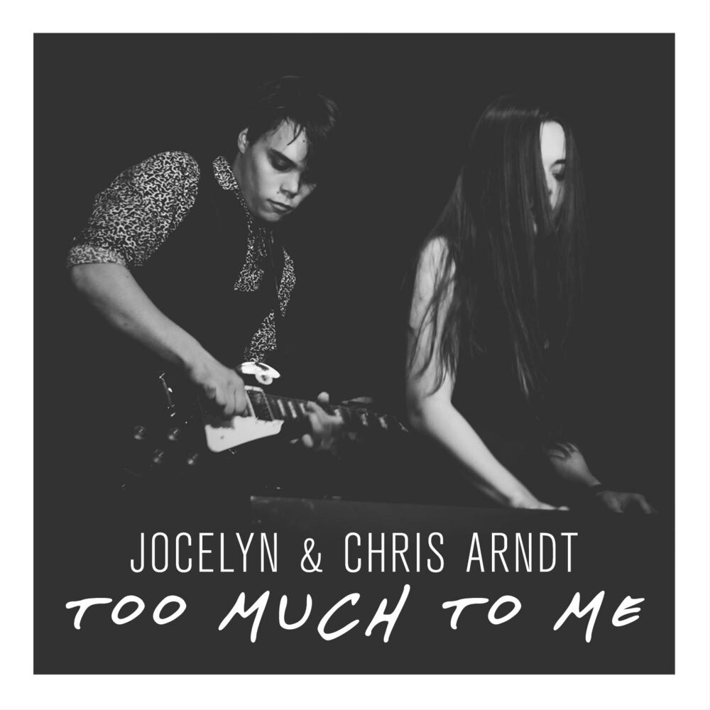 Picture of Too Much to Me