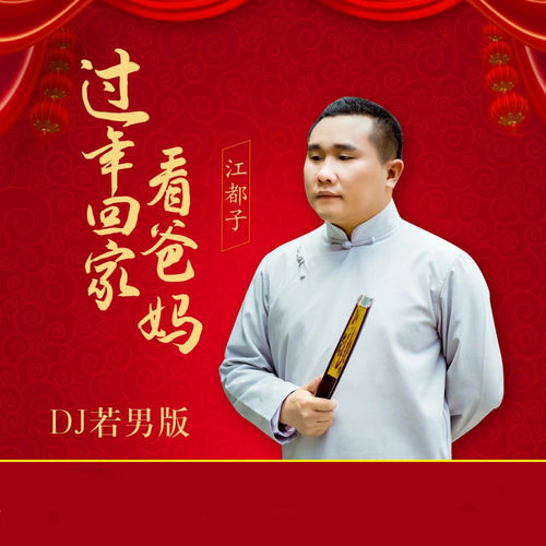 过年回家看爸妈 (DJ若男版)