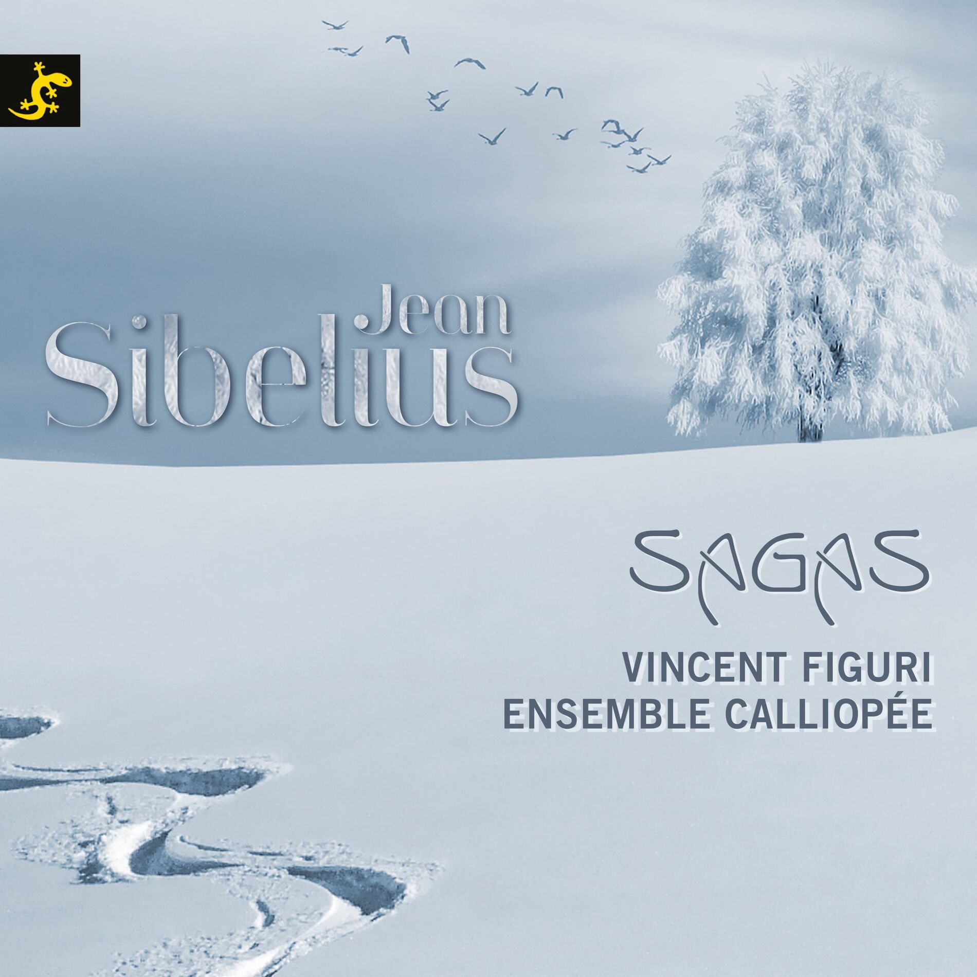 Album cover of Sagas