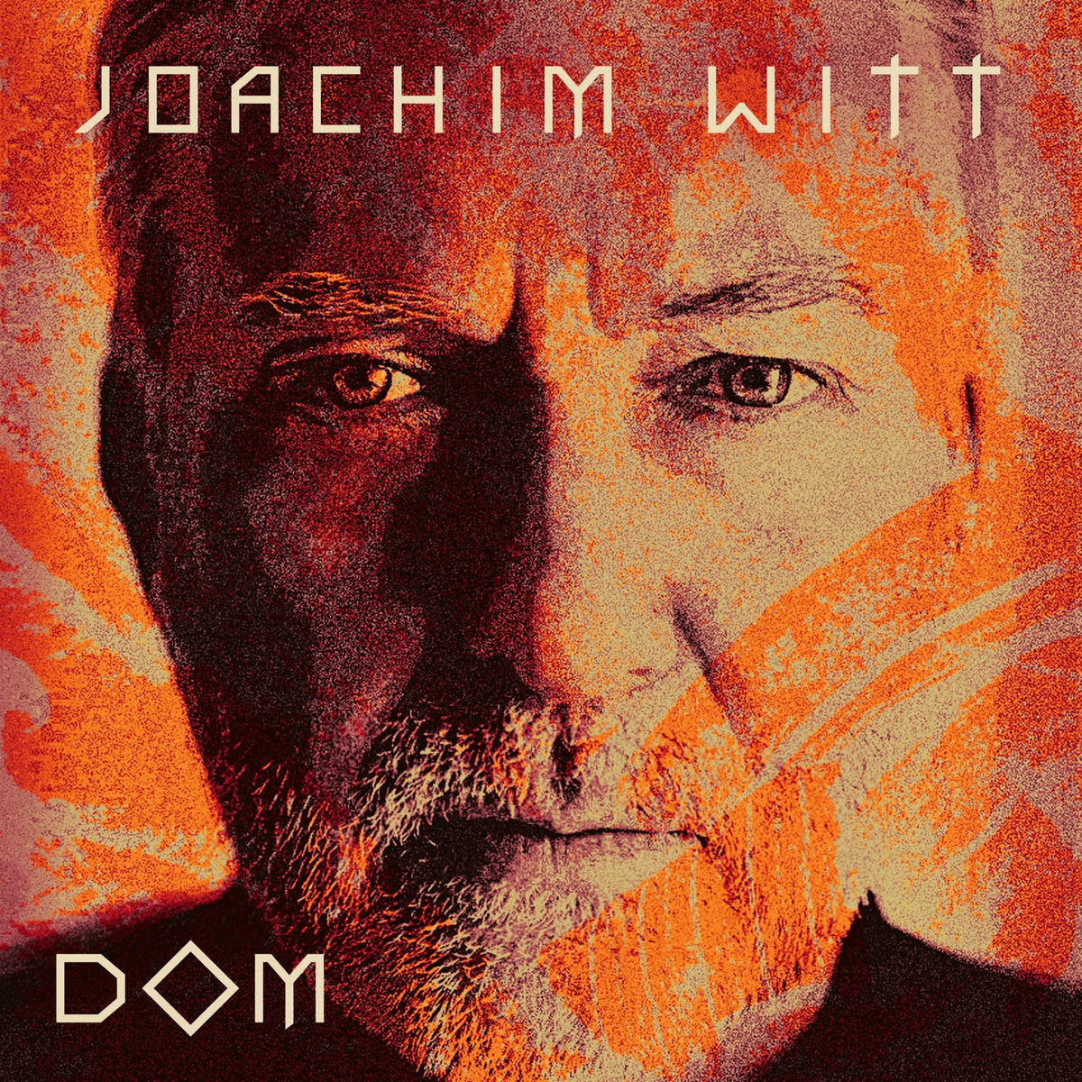 Album cover of Dom