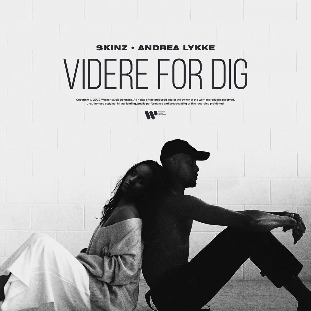 Picture of Videre For Dig