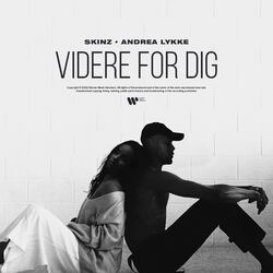 Cover of Videre For Dig