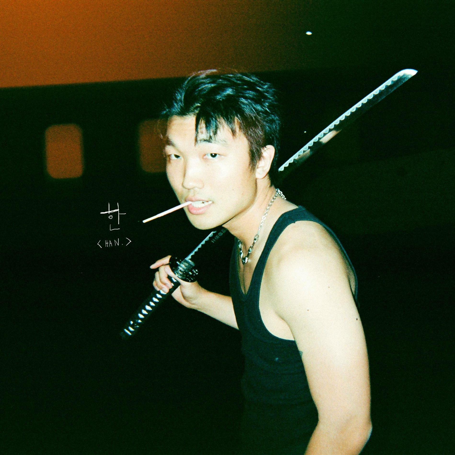 Album cover of HAN