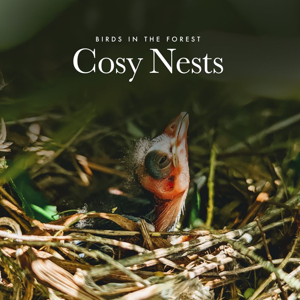 Picture of Cosy Nests