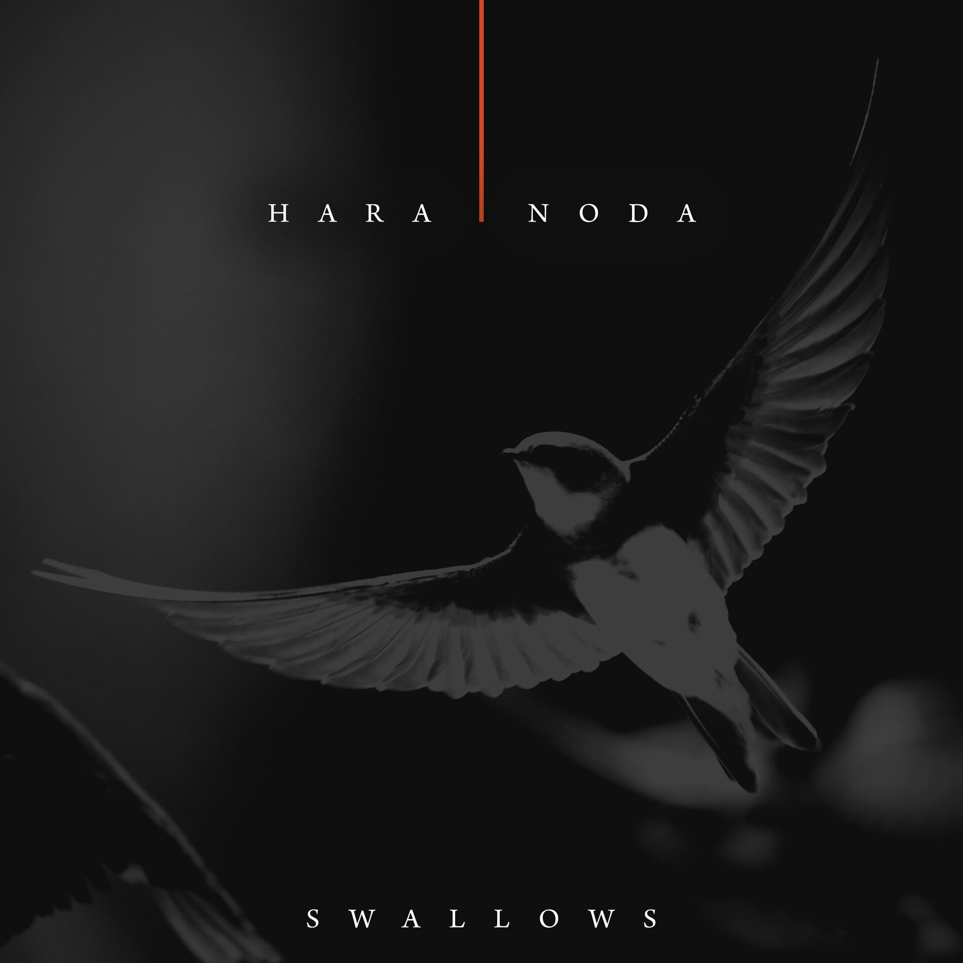 Album cover of Swallows