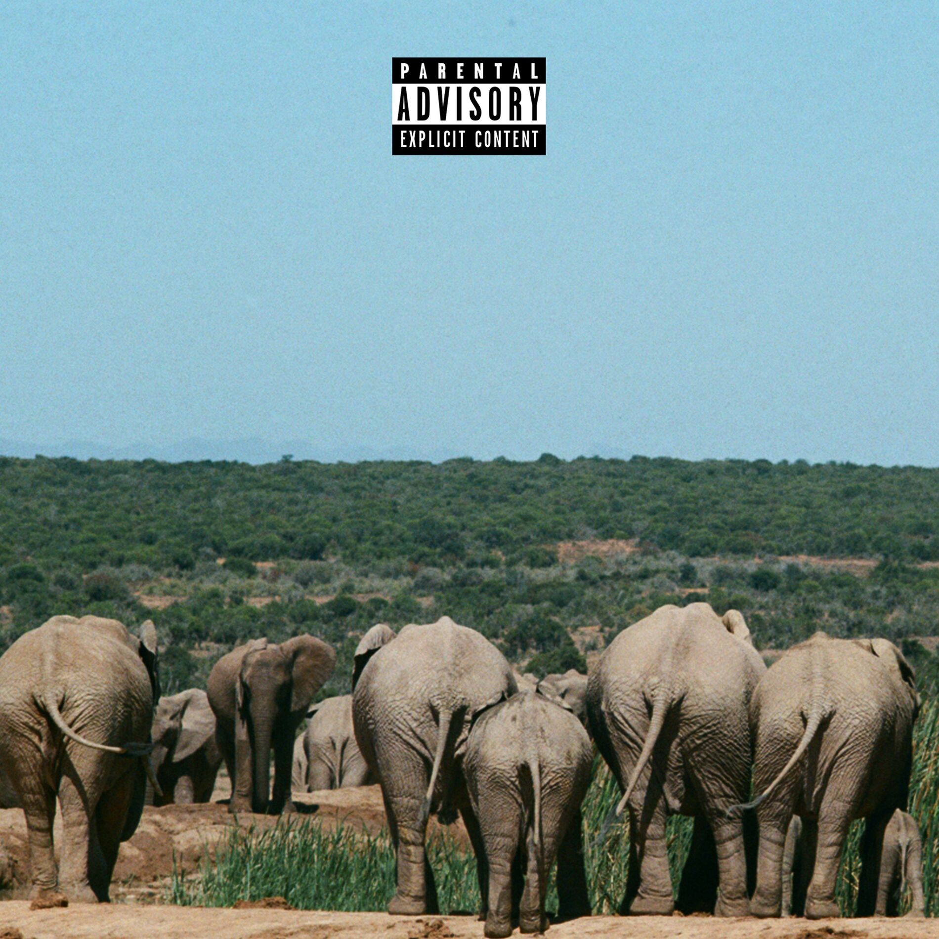 Album cover of YONN MANMAN LATÉ