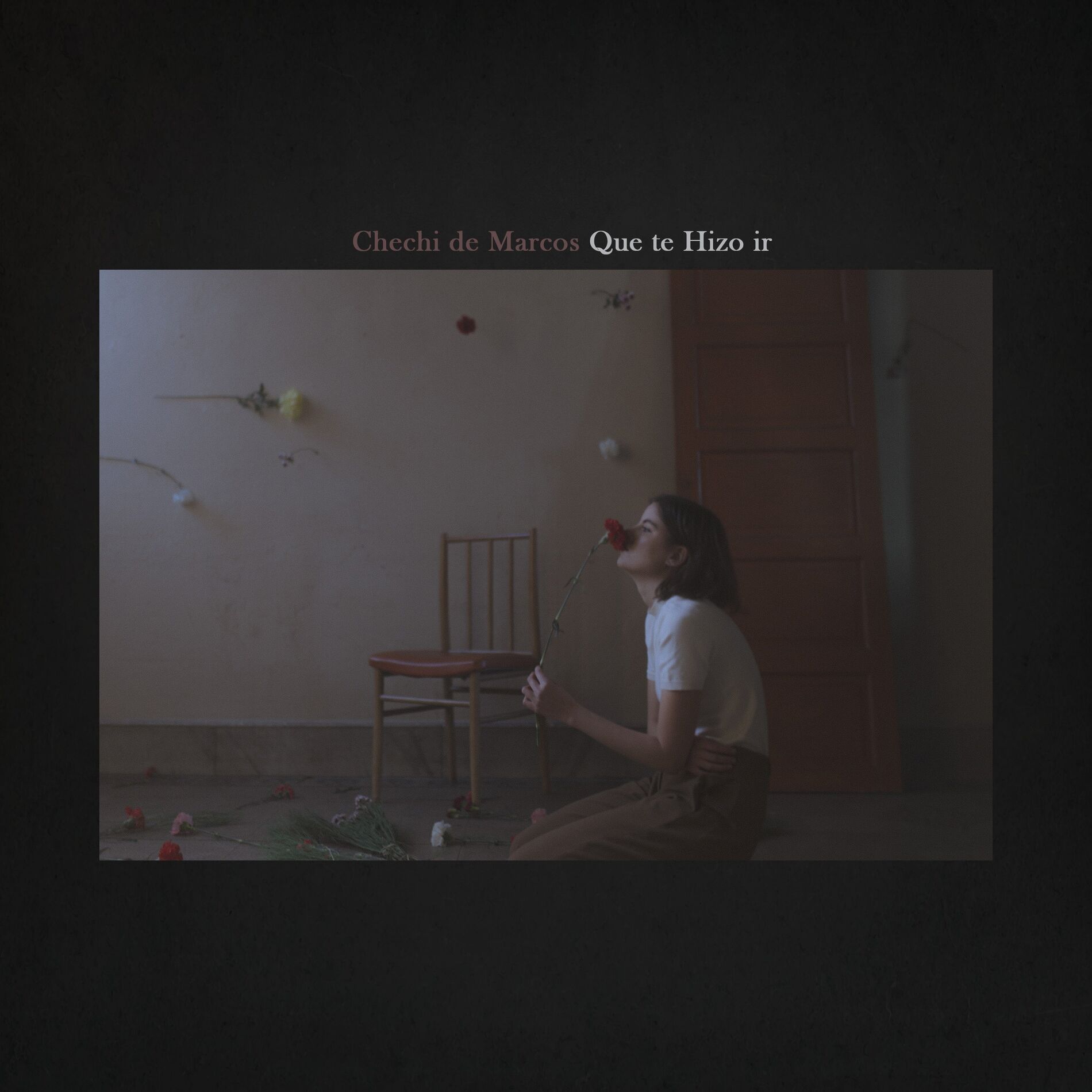 Album cover of Que te hizo ir
