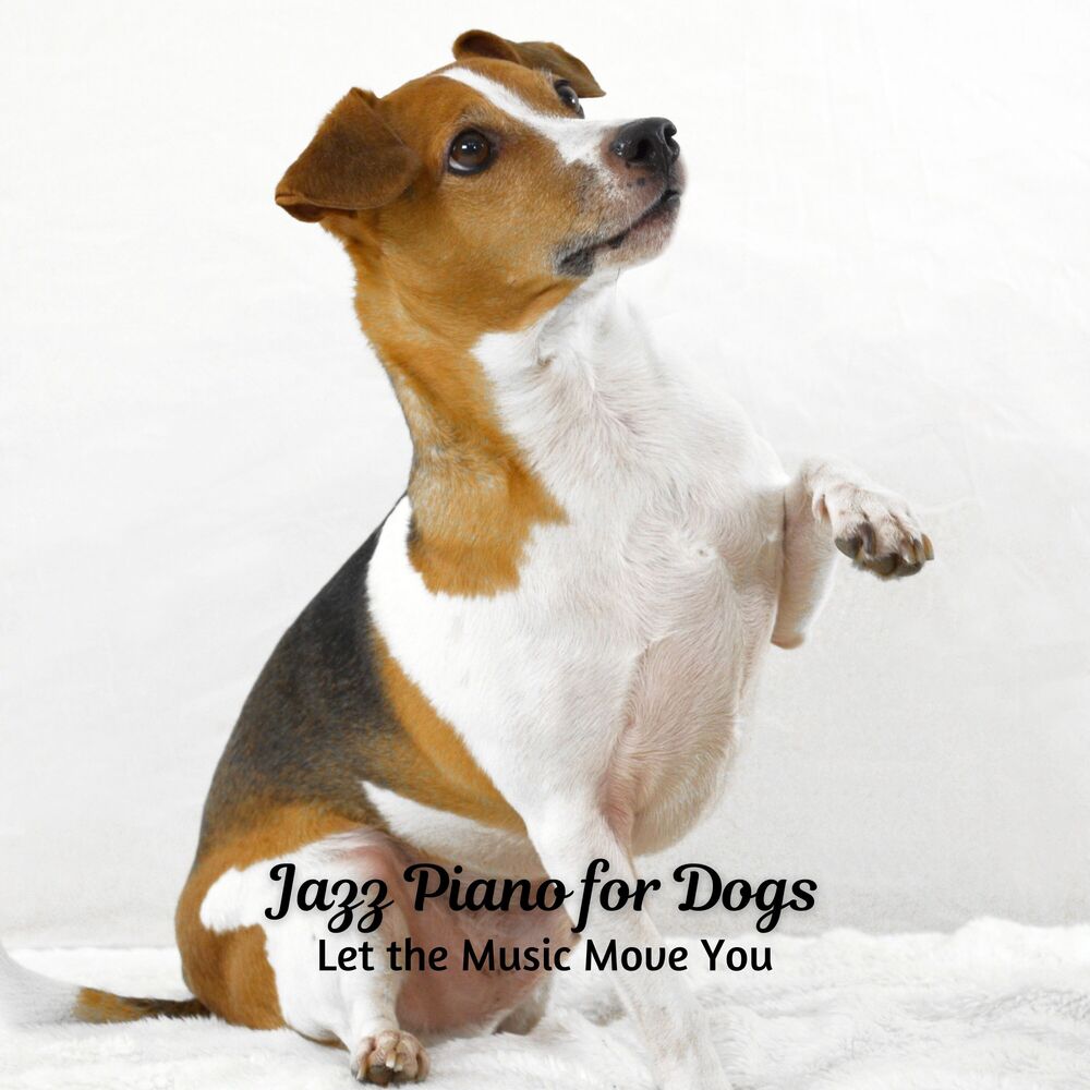 Picture of Jazz Piano for Dogs: Let the Music Move You