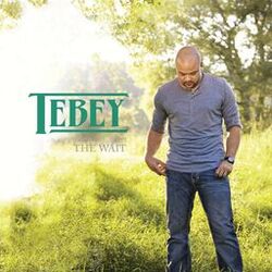 Cover of The Wait