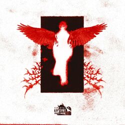Cover of Live Your Nightmares
