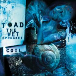 Cover of COIL