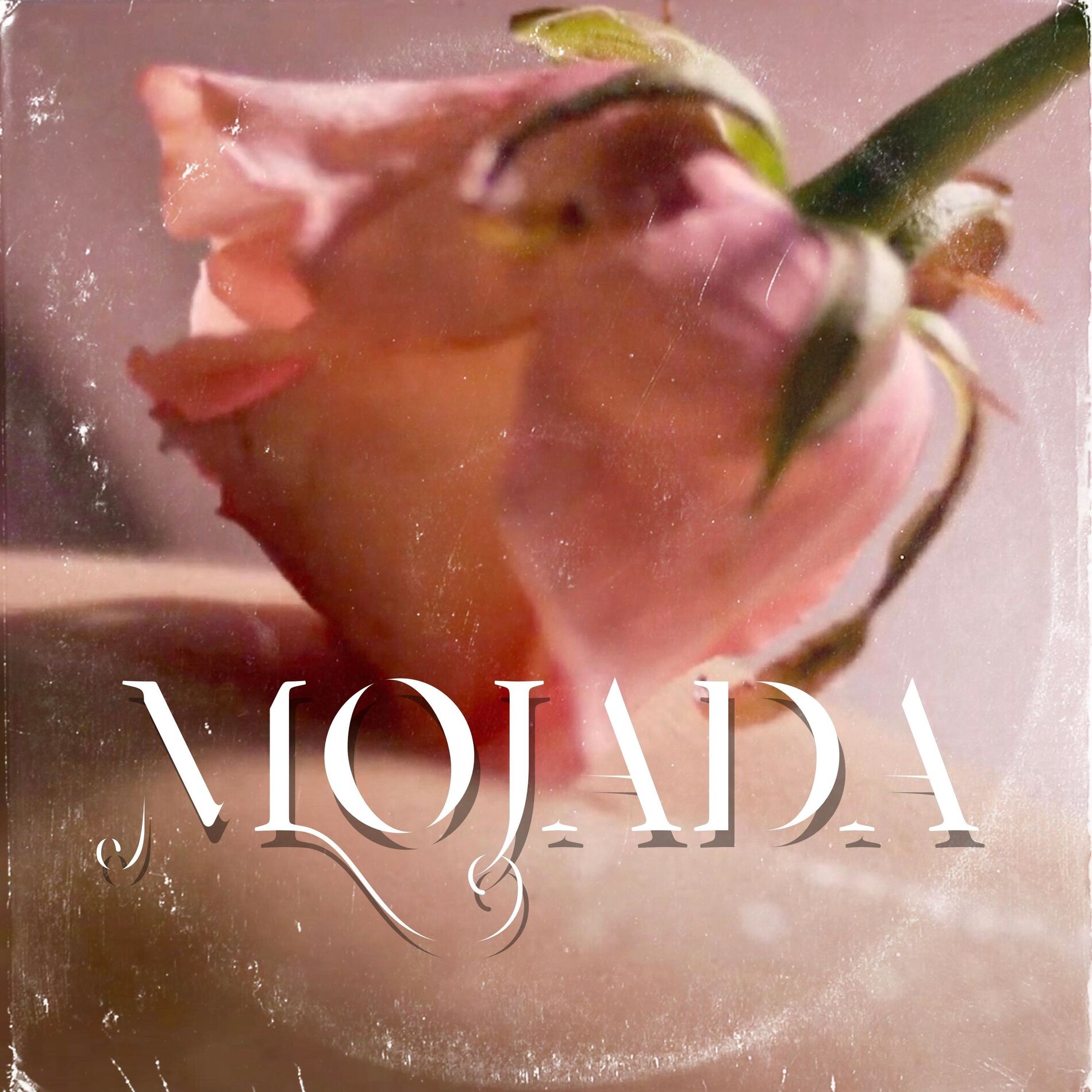 Album cover of Mojada (feat. Pablo Marin)