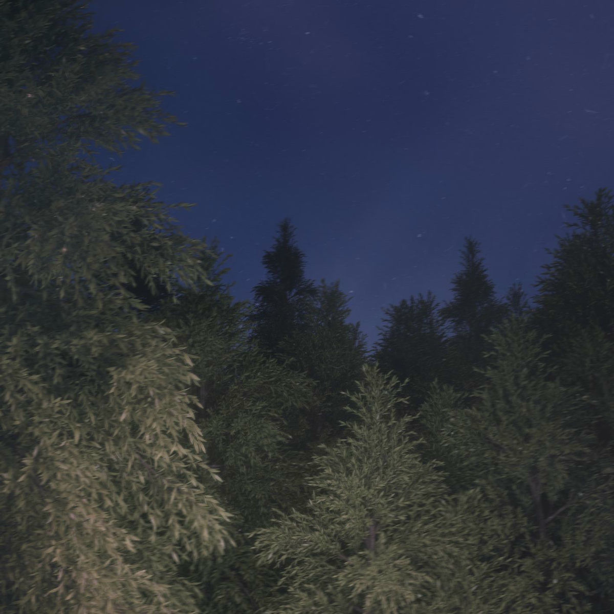 Album cover of WOLF BLUE.