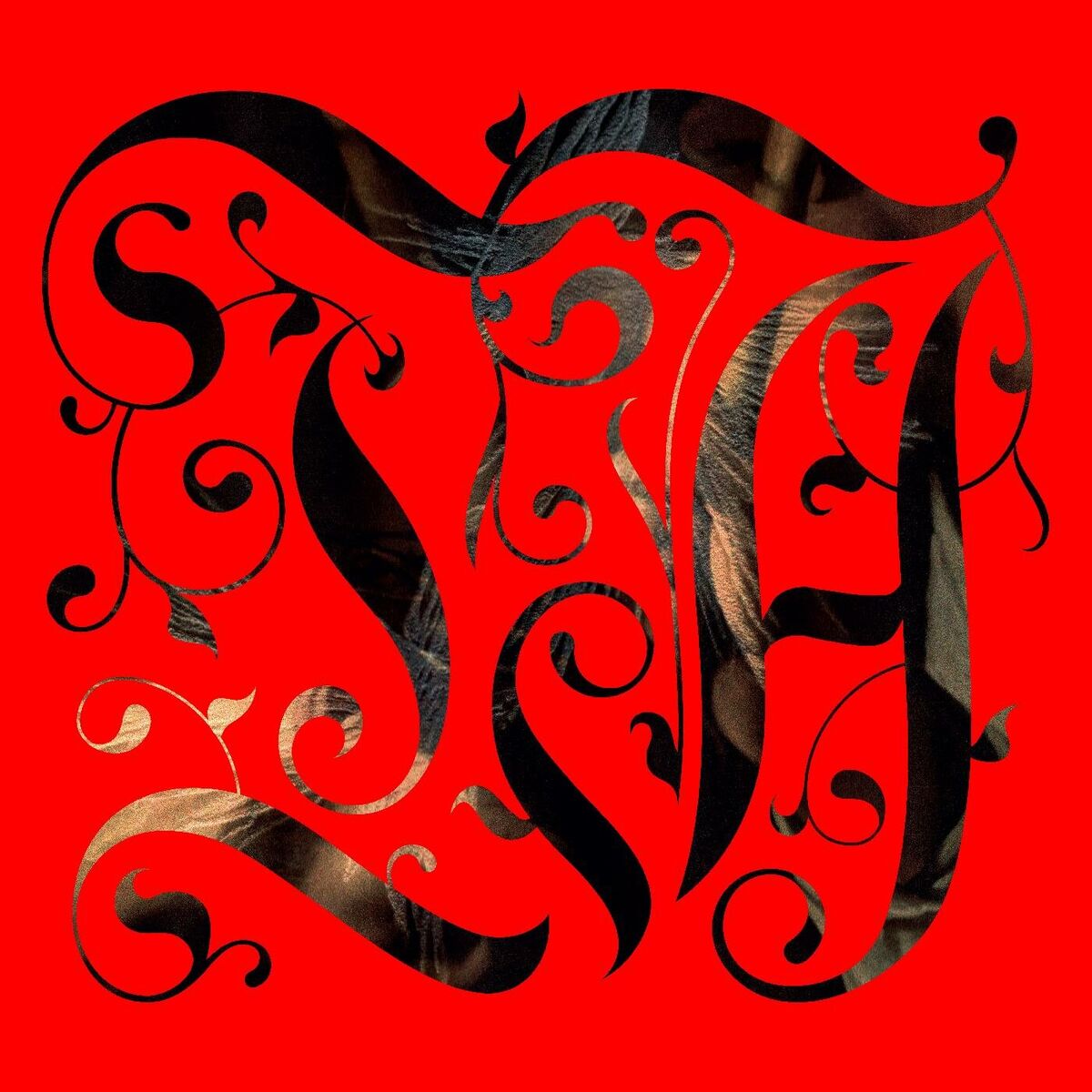 Album cover of The Adept