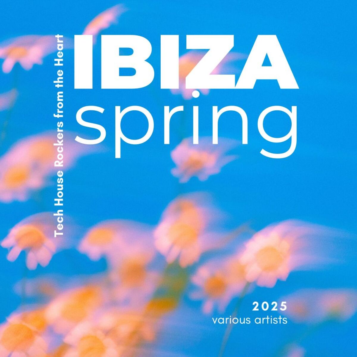 Album cover of Ibiza Spring 2025 (Tech House Rockers from the Heart)