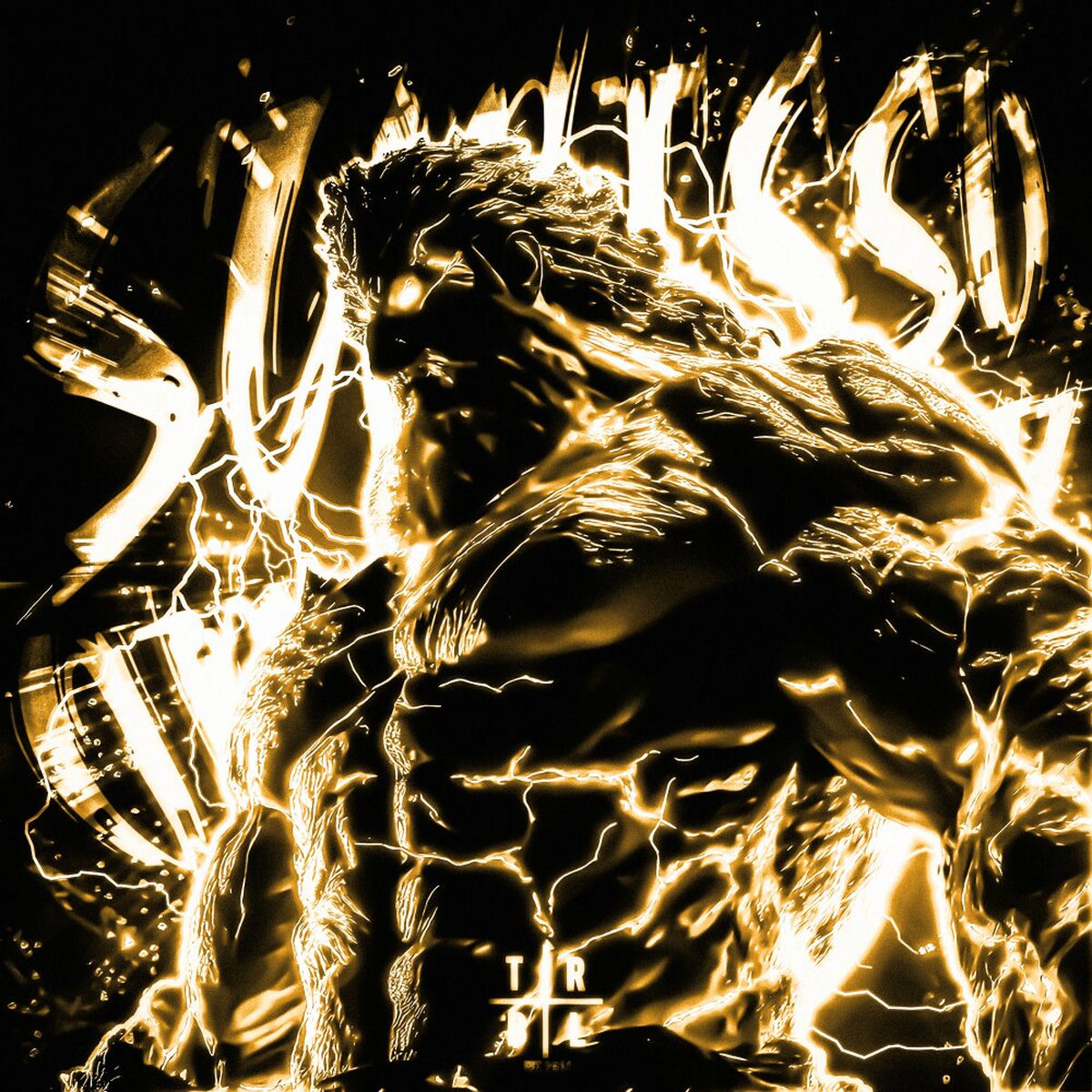 Album cover of Sucesso Orquestral